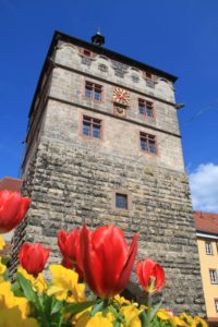 Geschichte, Gegenwart und Zukunft