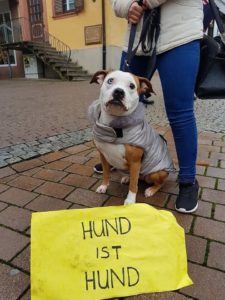 In Wiesloch wird es rassistisch